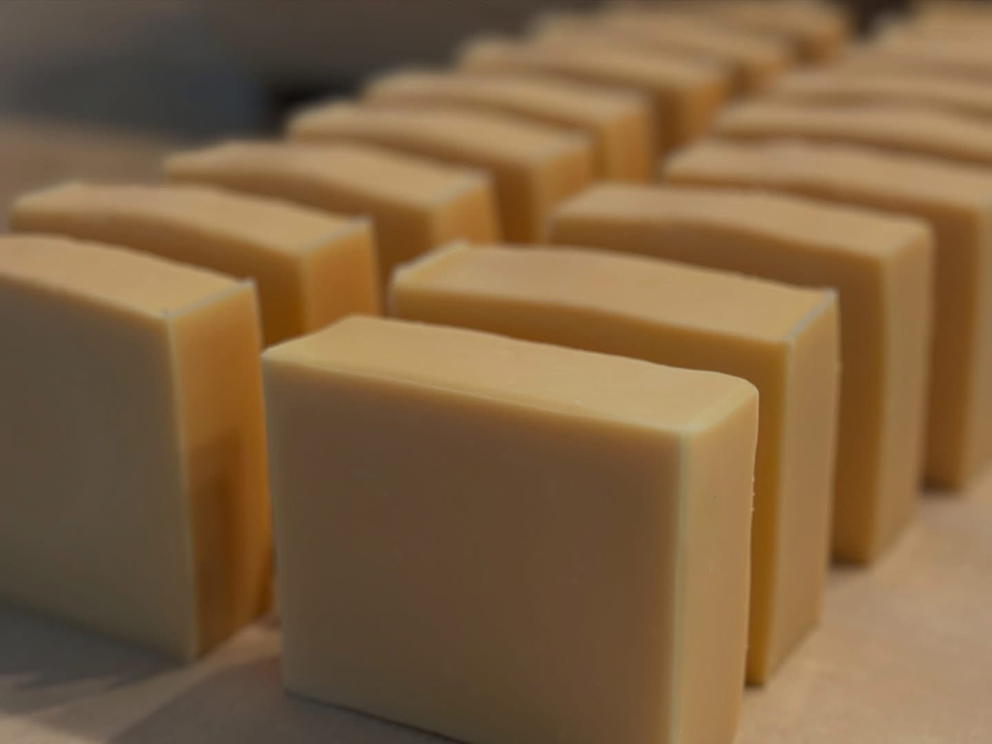 Pure Tallow + Goat Milk Soap Bar